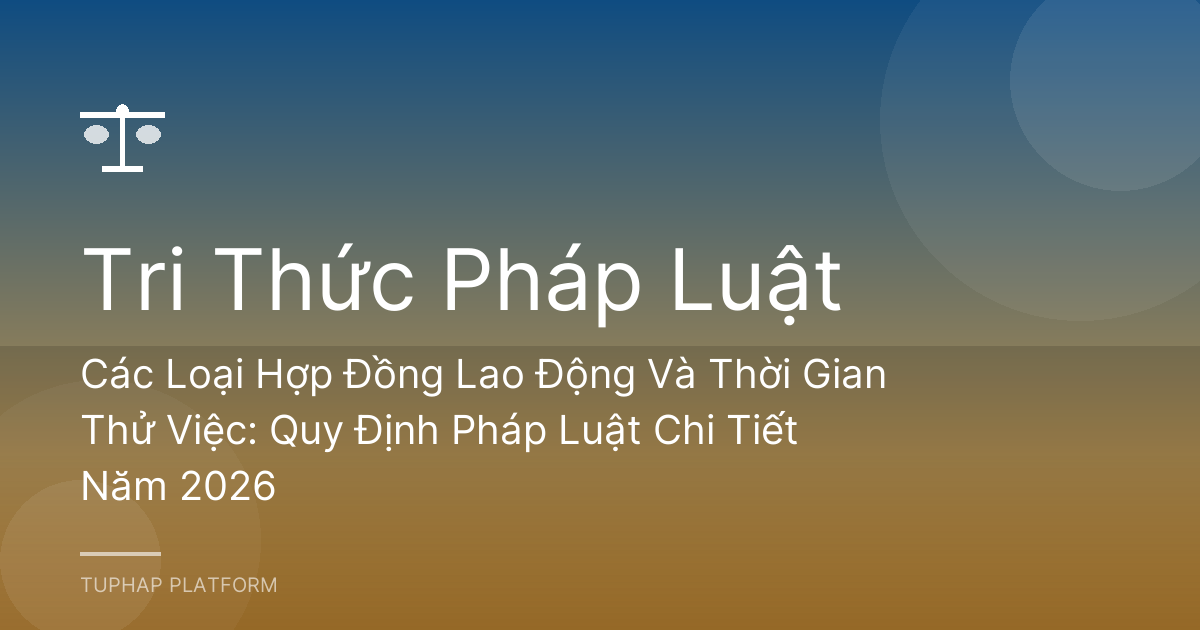 Các Loại Hợp Đồng Lao Động Và Thời Gian Thử Việc: Quy Định Pháp Luật Chi Tiết Năm 2026