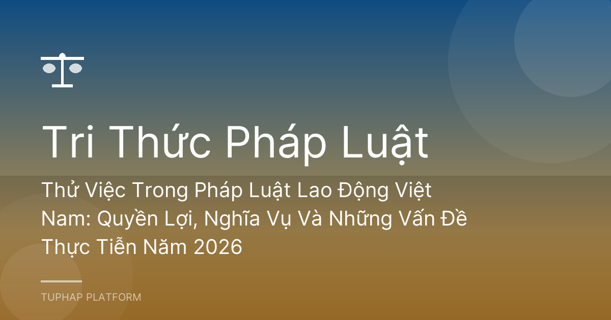 Thử Việc Trong Pháp Luật Lao Động Việt Nam: Quyền Lợi, Nghĩa Vụ Và Những Vấn Đề Thực Tiễn Năm 2026